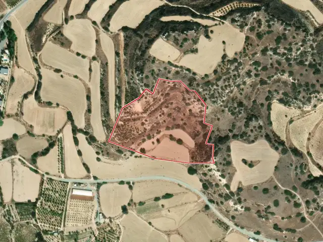 (Share) Agricultural Field 28360 m², Επαρχία Λεμεσού — Πισσούρι