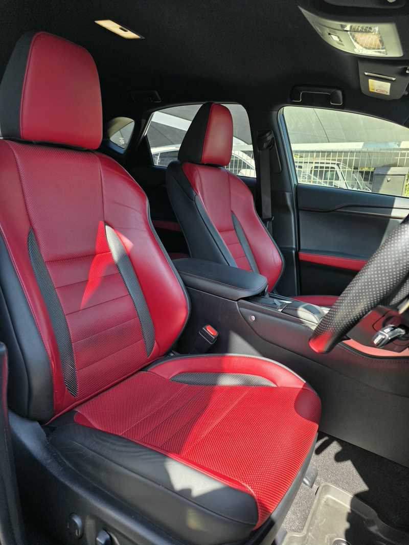 2021 Lexus NX 2,5L 2021 Cyprus