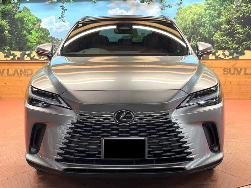 2025 Lexus RX 2,5L 2025 Cyprus