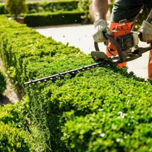 Gardening & Garden Maintenance, Limassol — Potamos Germasogeias