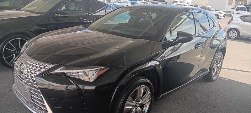Lexus UX 2,0L 2024