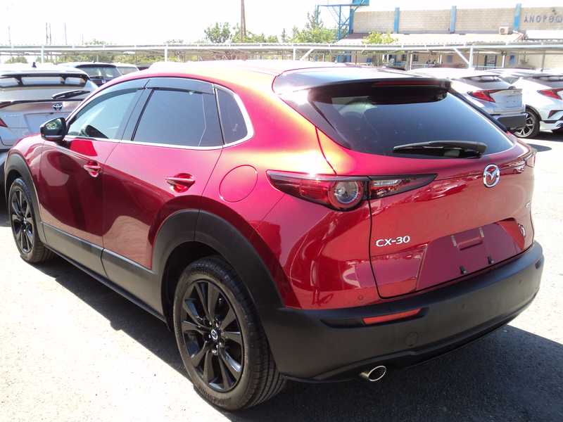 2024 Mazda CX-30 2,0L 2024 Cyprus