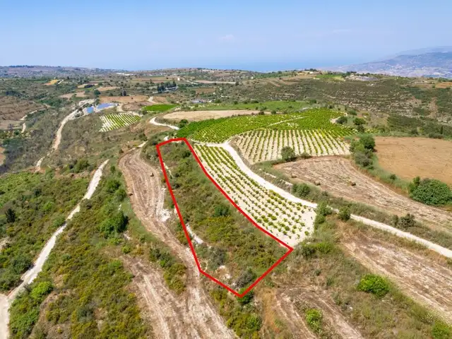 Agricultural Field 2174 m², Paphos — Kathikas