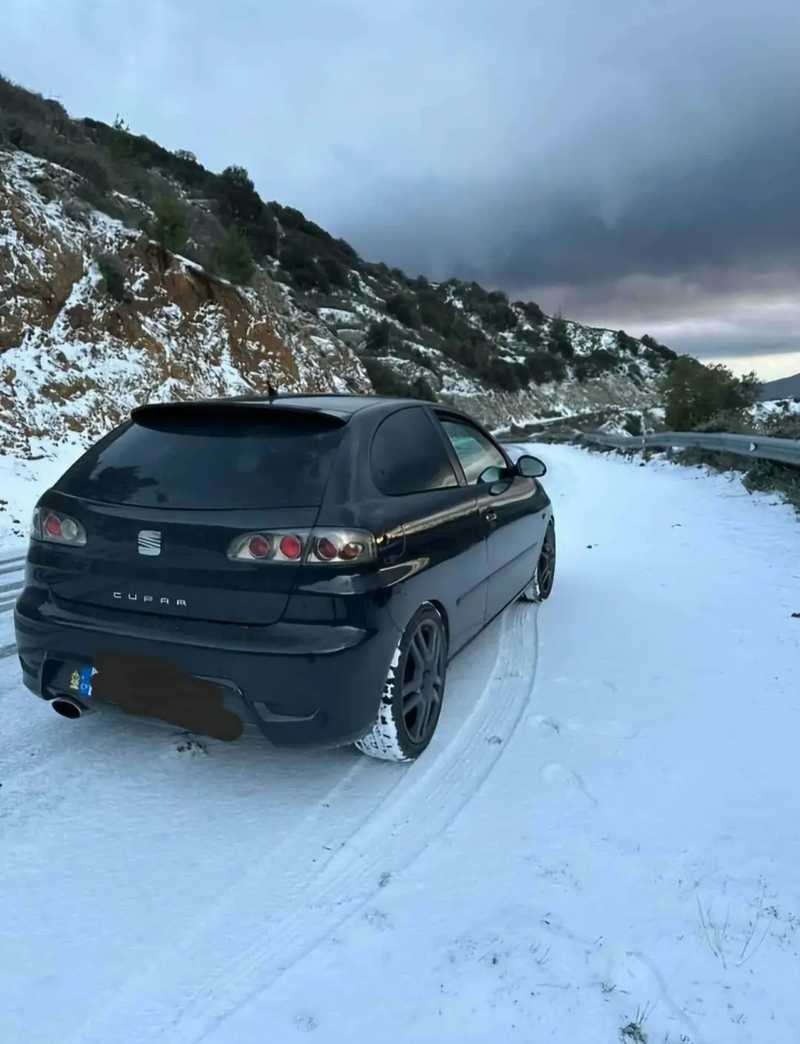 Seat Leon Cupra 1,9L 2006