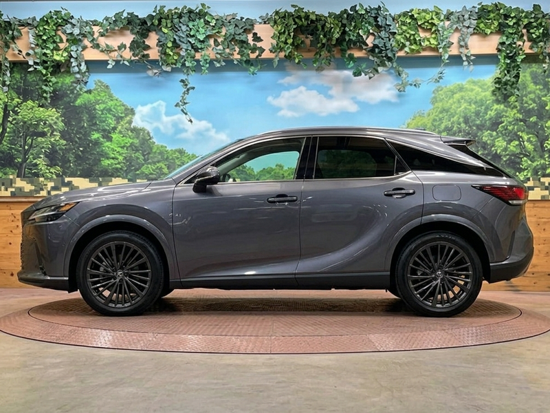 2024 Lexus RX 2,5L 2024 Cyprus