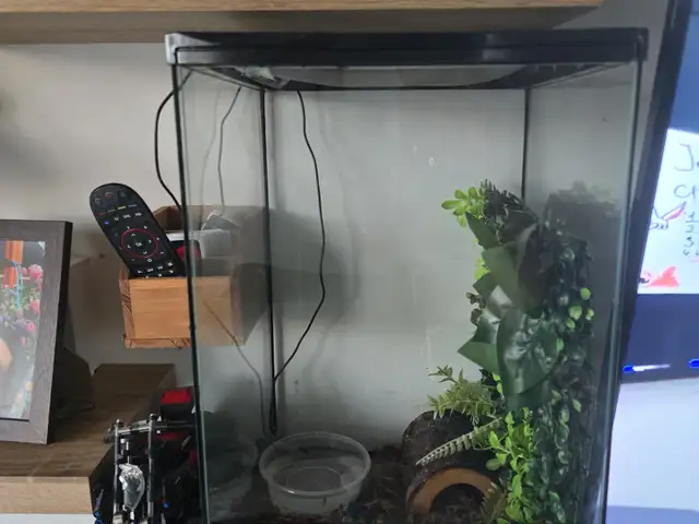 Terrarium with a lots accessories, Larnaca — Oroklini