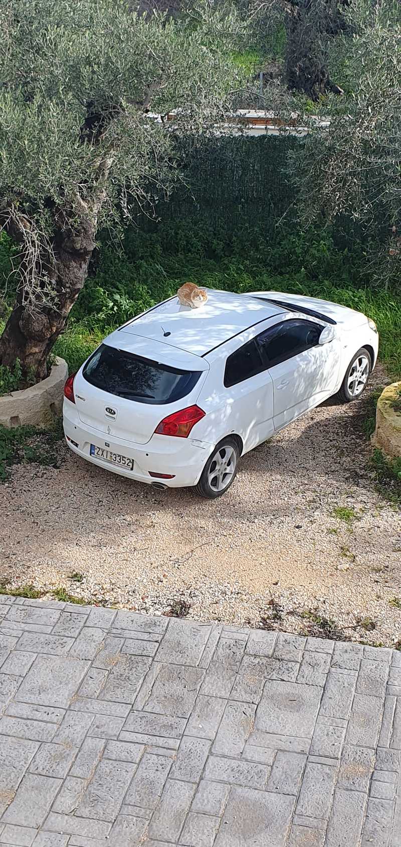 KIA Ceed 1,6L 2009