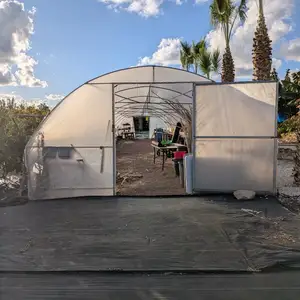 Large Polytunnel Greenhouse 20m x 4m Galvanised Steel Frame, Paphos — Pegeia