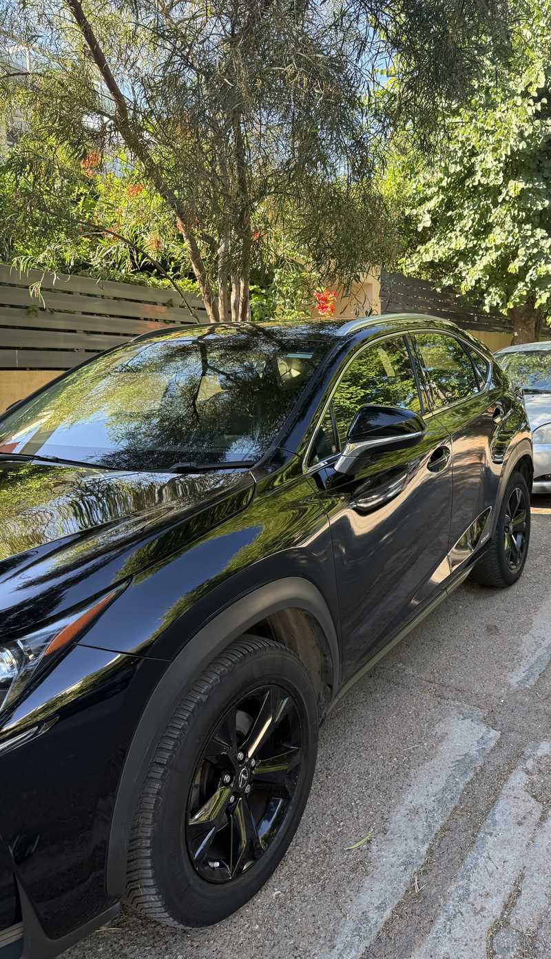 2017 Lexus NX 2,5L 2017 Cyprus