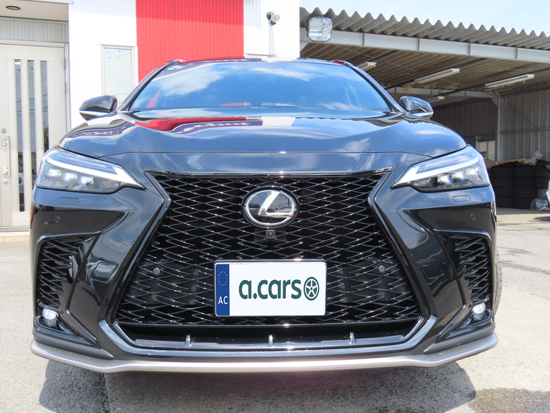 2024 Lexus NX 2,5L 2024 Cyprus