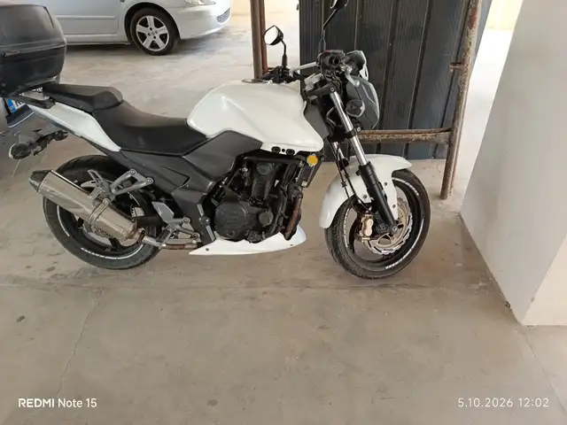 Syn wolf250n, Επαρχία Λάρνακας — Τερσεφάνου