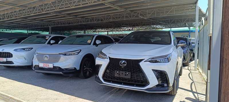 2024 Lexus NX 2,5L 2024 Cyprus
