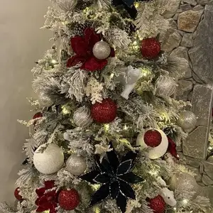 Χριστουγεννιατικο δεντρο, Επαρχία Λεμεσού — Λεμεσός - Άγιος Νικόλαος