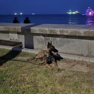 Malinois, Επαρχία Λεμεσού — Άγιος Ιωάννης Λεμεσού
