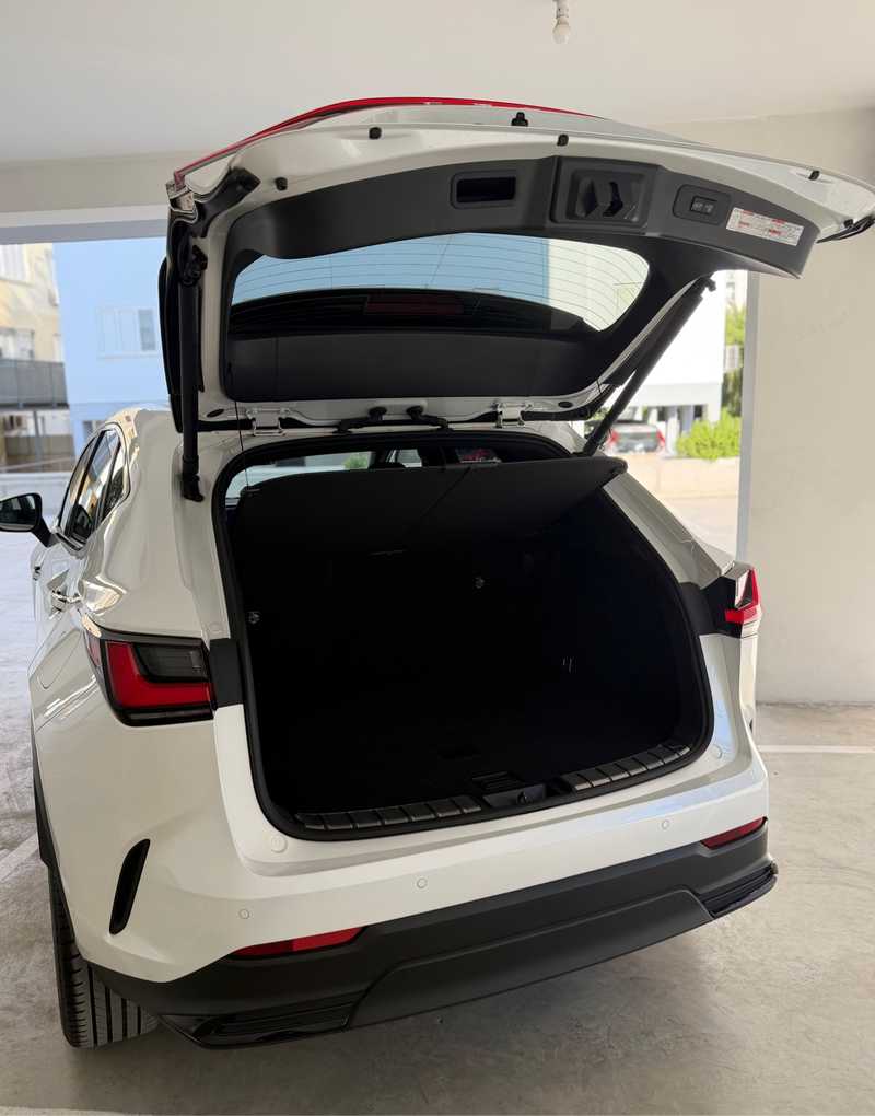 2022 Lexus NX 2,5L 2022 Cyprus