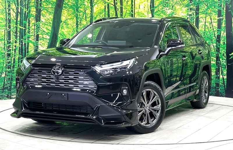Toyota RAV4 2,5L 2025