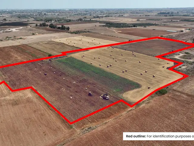 (Share) Agricultural Field 6754 m², Επαρχία Αμμοχώστου — Αυγόρου