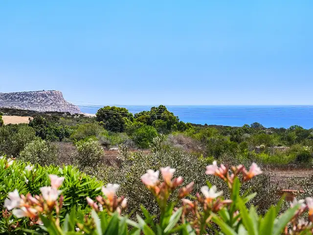 3-bedroom detached house for sale, Famagusta — Agia Napa