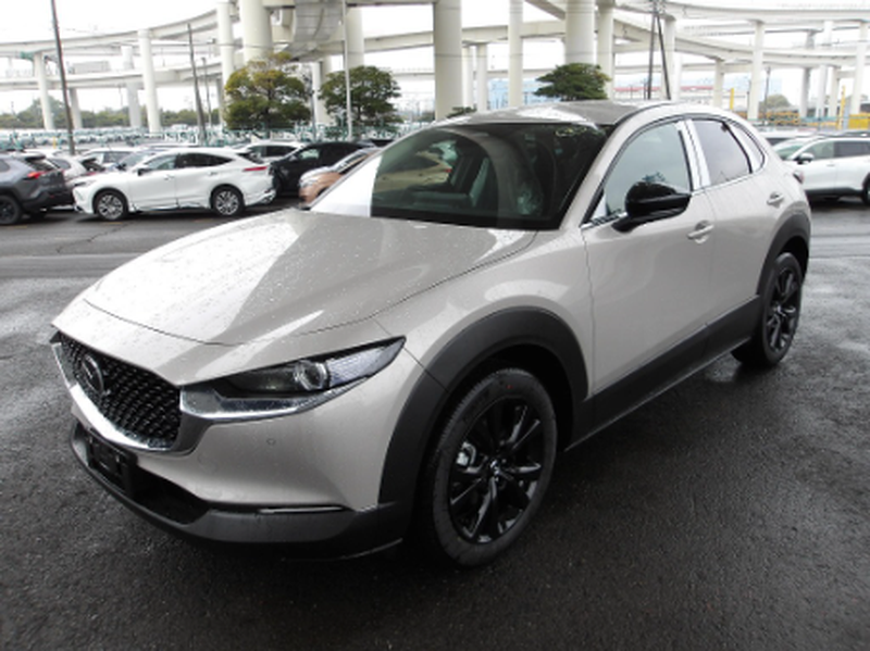 2026 Mazda CX-30 2,0L 2026 Cyprus