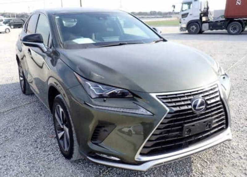 2022 Lexus NX 2,5L 2022 Cyprus