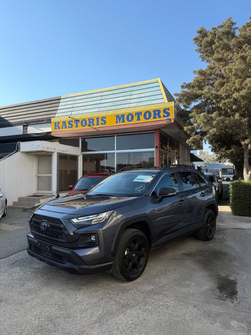 2022 Toyota RAV4 2,5L 2022 Cyprus