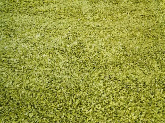 Carpet, Limassol — Limassol - Zakaki