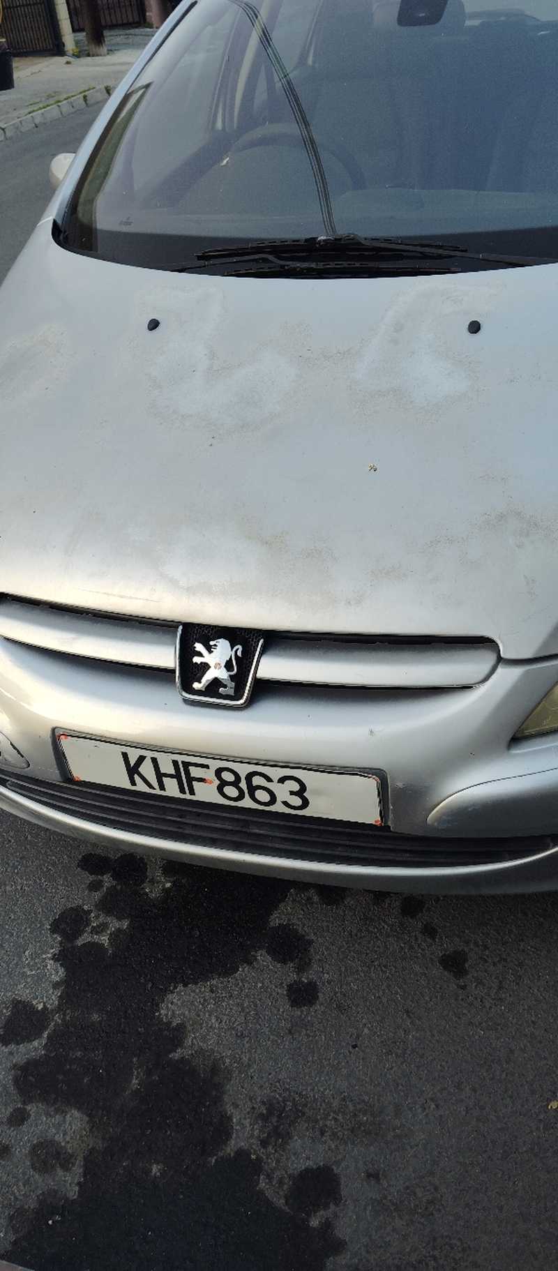 2005 Peugeot 307 1,4L 2005 Cyprus