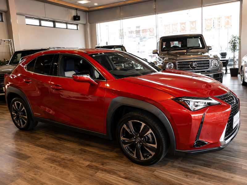 2022 Lexus UX 2,0L 2022 Cyprus