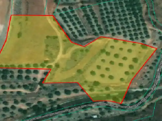 Agricultural Field 12710 m², Nicosia — Pera