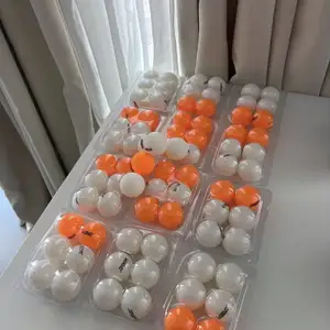 Ping pong balls, Επαρχία Πάφου — Πάφος - Κάτω Πάφος