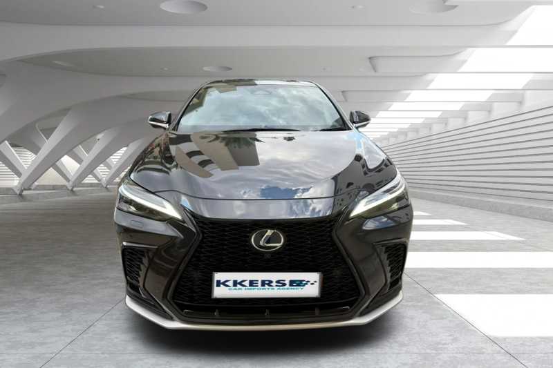 2024 Lexus NX 2,5L 2024 Cyprus