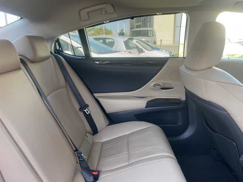 2019 Lexus ES300h 2,5L 2019 Cyprus