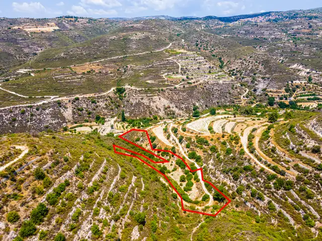 (Share) Agricultural Field 6689 m², Limassol — Agios Therapon
