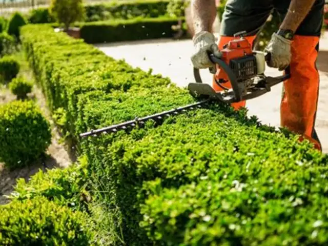 Gardening & Garden Maintenance, Επαρχία Λεμεσού — Ποταμός Γερμασόγειας