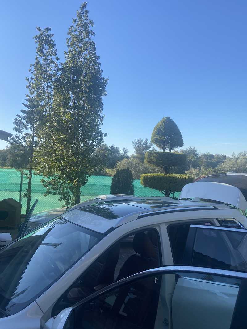 2018 Nissan X-Trail 2,0L 2018 Cyprus