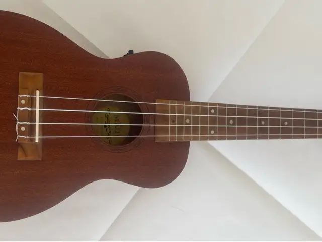Ukulele maui pro, Nicosia — Lakatameia - Agios Mamas