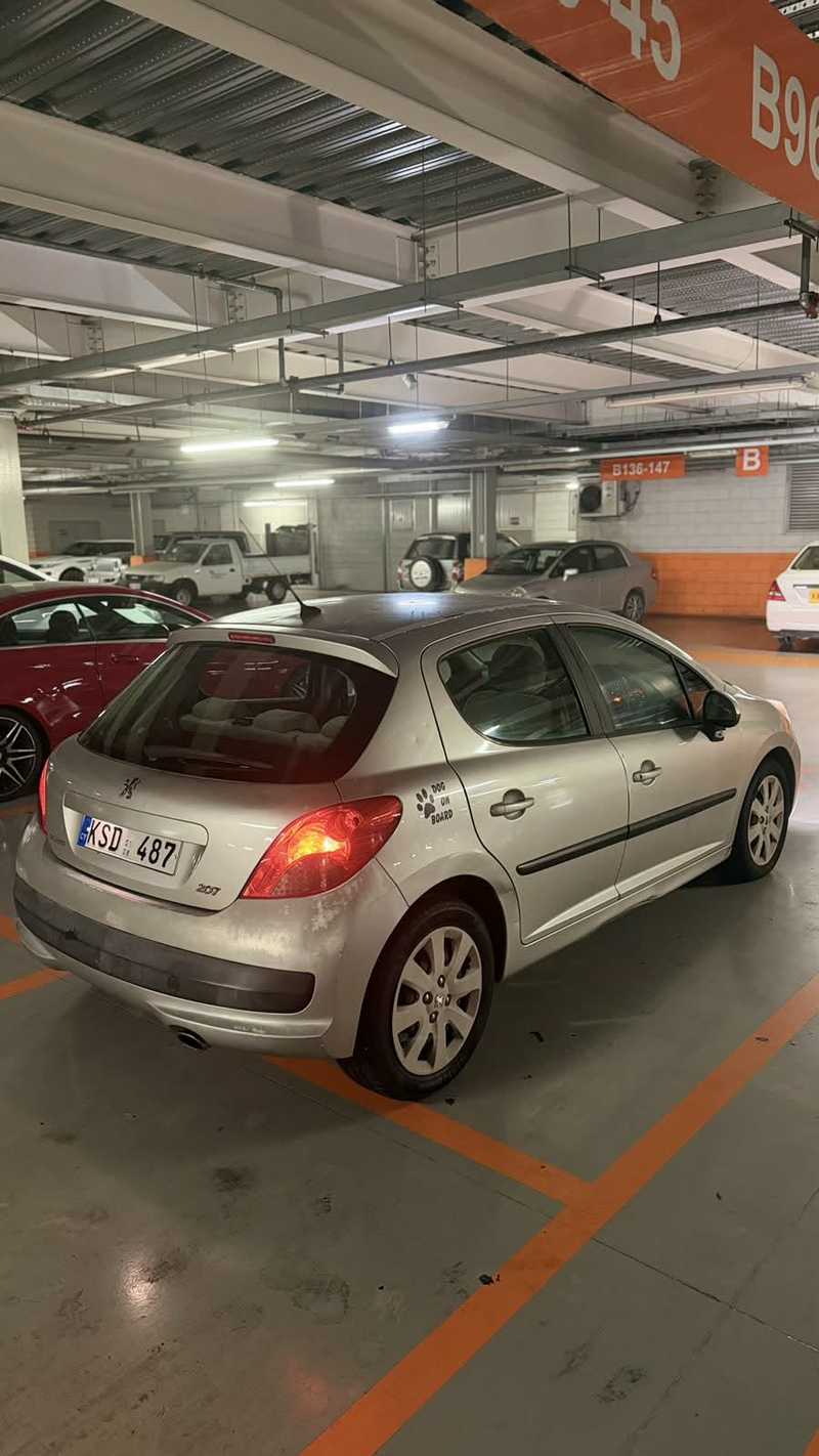 2008 Peugeot 207 1,6L 2008 Cyprus