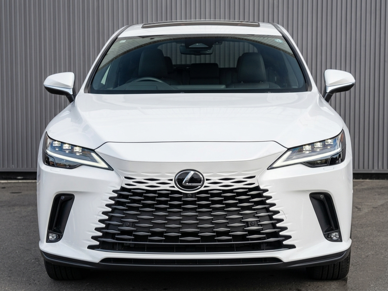 2024 Lexus RX 2,5L 2024 Cyprus