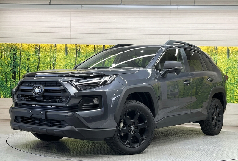 2025 Toyota RAV4 2,5L 2025 Cyprus