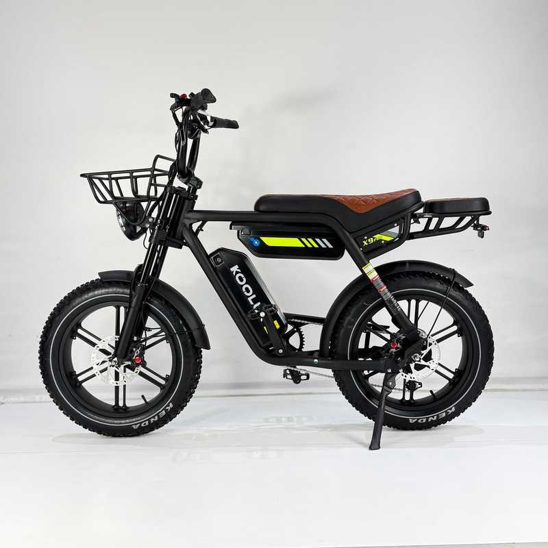 JAPAN PARANO　collectif bikrolux Electric bike koolux x9 pro dual battery 48v 15.6ah 2 dual