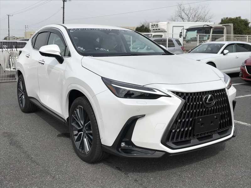 Lexus NX 2,5L 2025