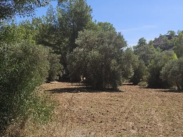 Residential Field 1000 m², Larnaca — Kornos