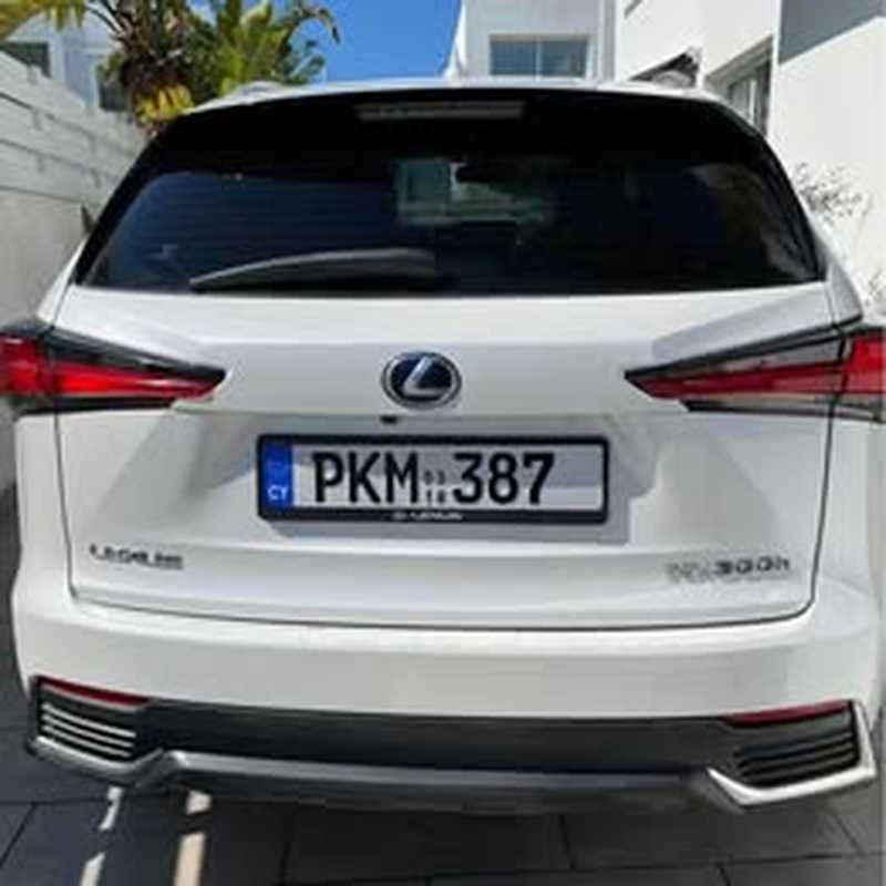 2018 Lexus NX 2,5L 2018 Cyprus