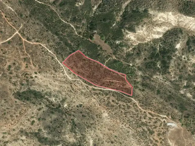 (Share) Agricultural Field 16591 m², Επαρχία Λεμεσού — Πισσούρι