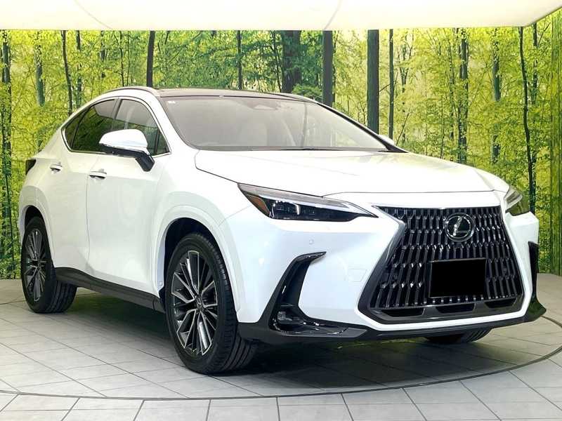 Lexus NX 2,5L 2025