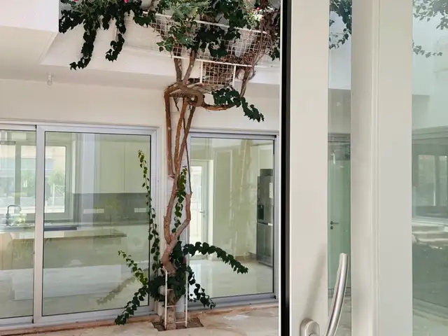  5-bedroom detached house to rent, Επαρχία Λευκωσίας — Στρόβολος - Δασούπολη - 5