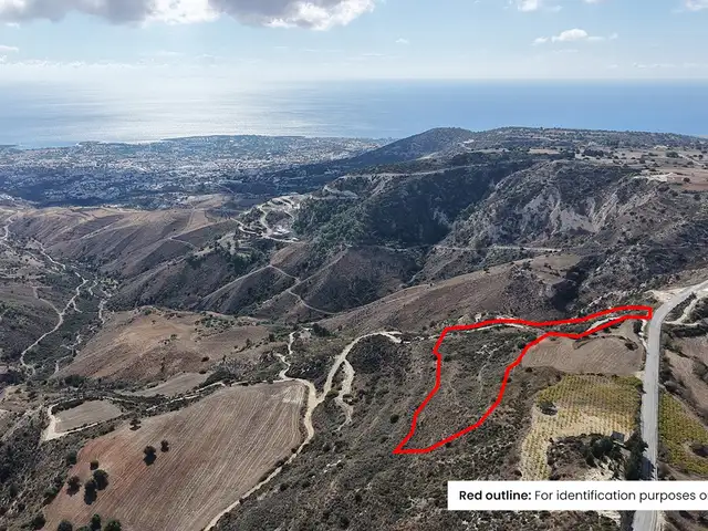 (Share) Agricultural Field 8027 m², Paphos — Kathikas
