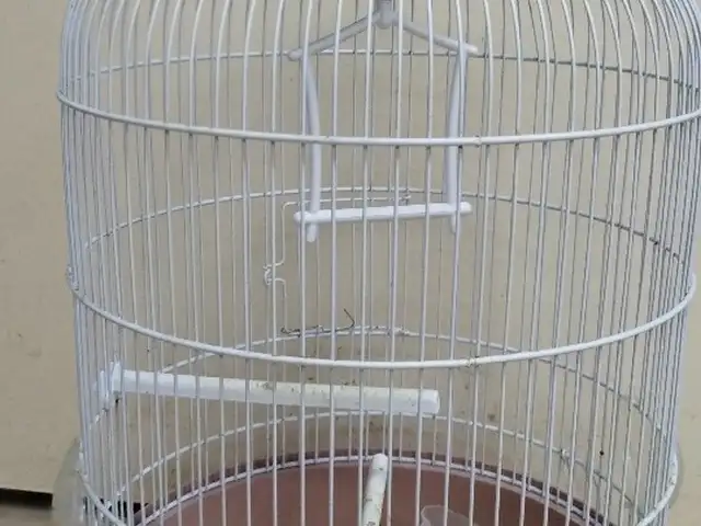 Bird cage, Επαρχία Λευκωσίας — Άγιοι Ομολογητές