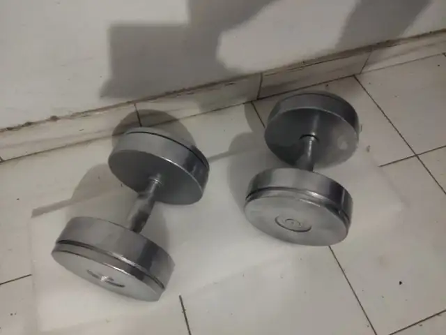 2x20kg professional gym dumbells- bodybuilding//power training/ biceps/triceps, Nicosia — Egkomi - Makedonitissa