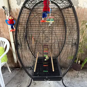 Big big for parrots, Επαρχία Λεμεσού — Άγιος Ιωάννης Λεμεσού